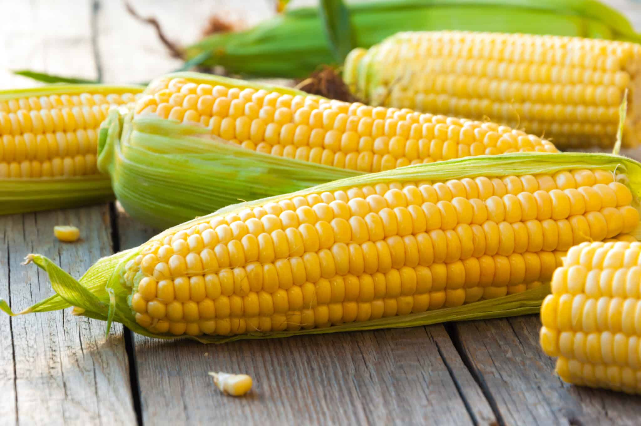 Fresh corn on wooden cutting board