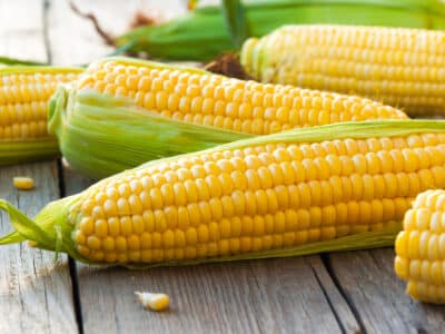 Fresh corn on wooden cutting board