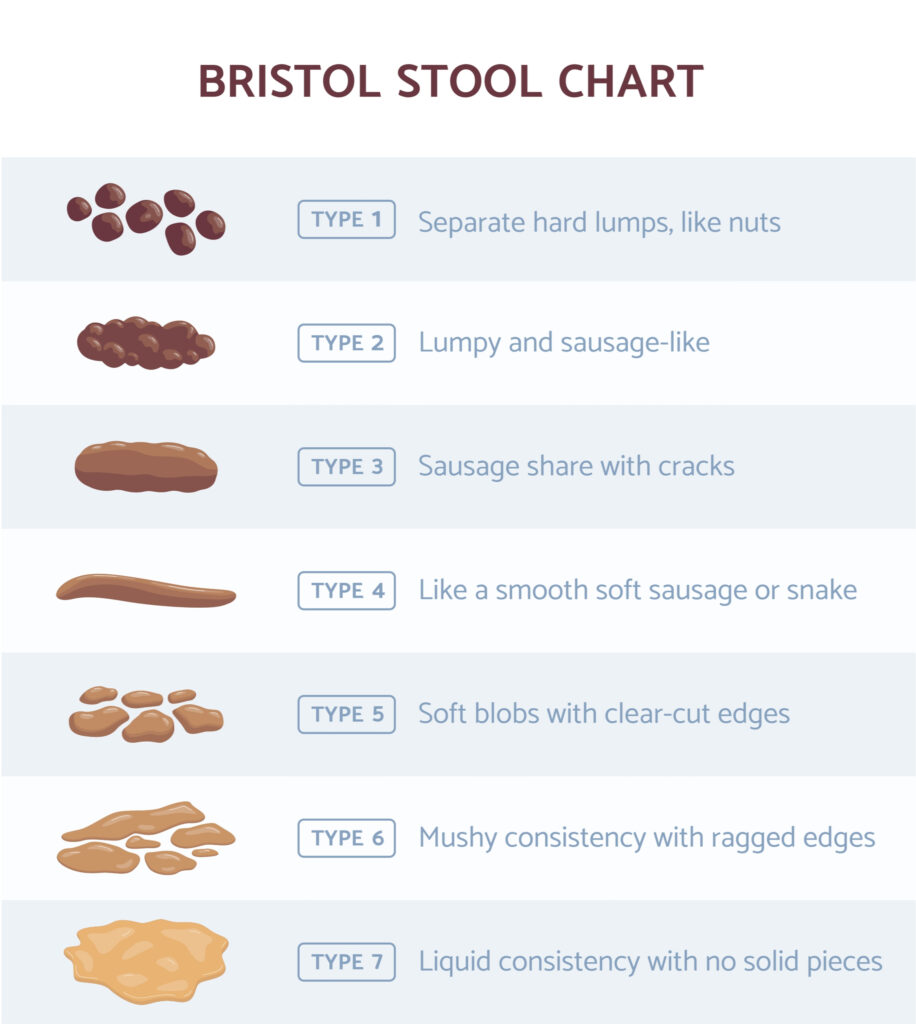 Bristol stool chart for feces type classification, flat vector illustration.