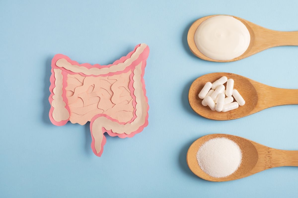 Intestine decorative model with various nutritional supplements. Healthy digestion concept, probiotics and prebiotics for microbiome intestine. Top view